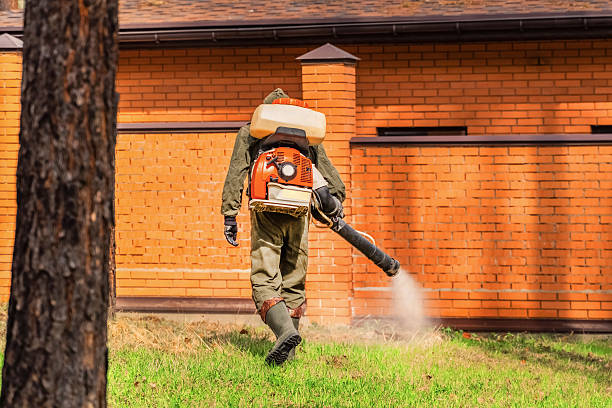 Trusted Mosquito Control service in Louisville, NE - Nex Pest Control